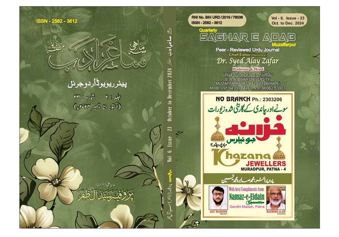Cover of Volume 6 Issue 22